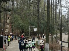 -莫干山风景区