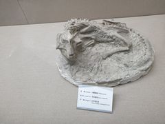 -房山世界地质公园博物馆