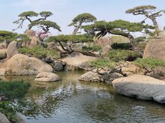 -罗红摄影艺术馆