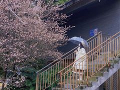 -国际非物质文化遗产博览园