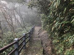 -百杖潭景区