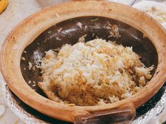 -百利鸽王(紫薇路店)