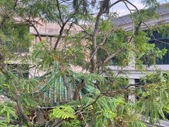 -求水山公园