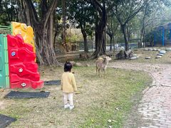 -广东花都香草世界旅游度假区