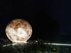 -恬阿姨庭院餐厅·生日宴