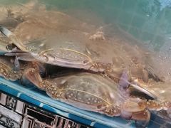 -蓝珊甄选海鲜自助·火锅大排档(近阿那亚店)