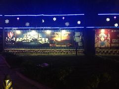 -枫花园汽车电影院(朝阳公园店)
