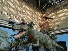 -国家自然博物馆