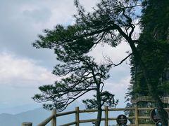 -明月山风景名胜区