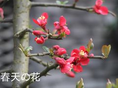 -贵阳市花溪国家城市湿地公园