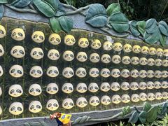 -广州长隆野生动物世界