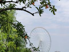 -无锡蠡湖国家湿地公园-蠡园