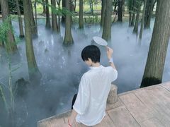 -东湖落雁景区