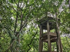 -蒋氏故居