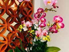 -沐森 •疗愈头疗馆(打浦桥店)
