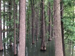-采石矶景区