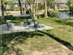 -上海海湾国家森林公园