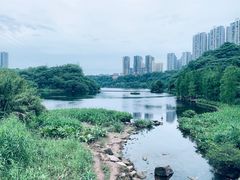 -重庆彩云湖湿地公园
