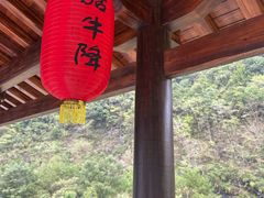 -石台牯牛降景区
