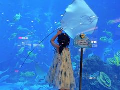 -成都浩海立方海洋公园