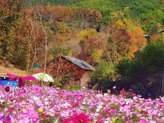 -塔川景区