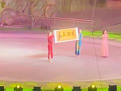 -灵玲国际马戏城
