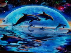 -烟台海昌鲸鲨海洋公园