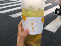 奇异果乌龙-树夏(建设路店)