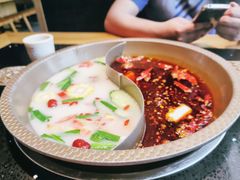 骨汤鸳鸯锅-潘小辣鲜肉老火锅