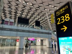 -郑州新郑国际机场-T2航站楼