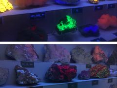 -湖南省地质博物馆