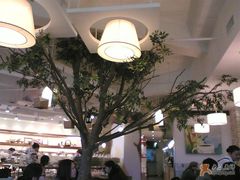 店内的树-多乐之日(五道口店)