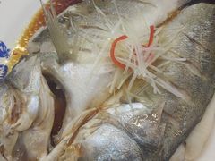 清蒸海鲈鱼-全聚德(胜利大街店)