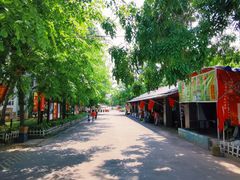 -红色娘子军纪念园