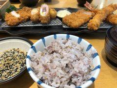 杂粮饭-胜博殿日式炸猪排(西红门店)