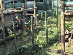 -大连森林动物园