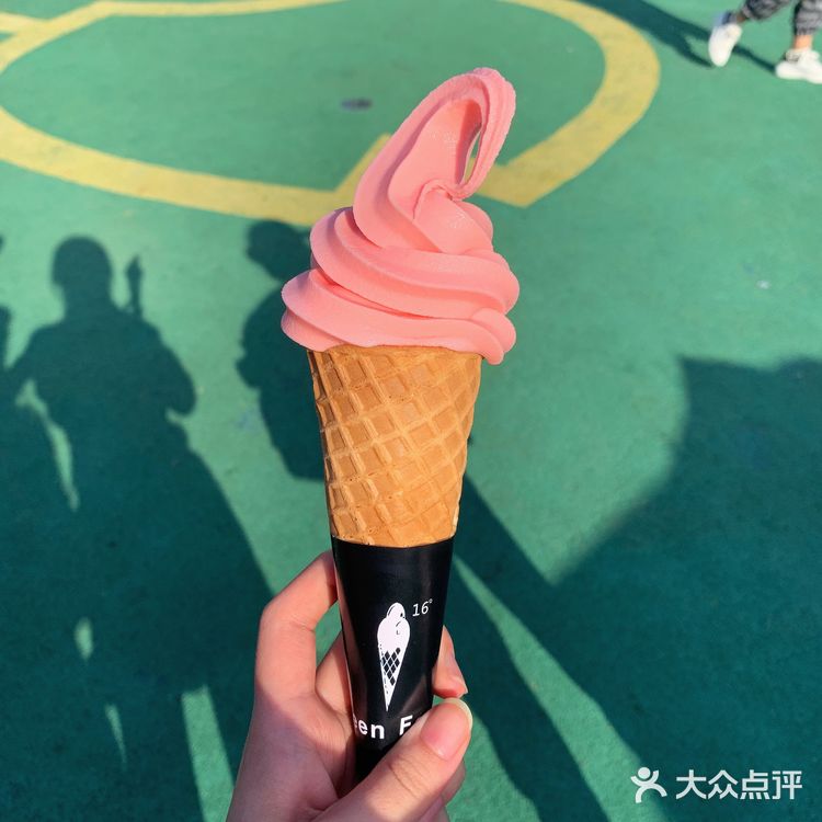 美食什么都有四季广场的花海是真的漂亮