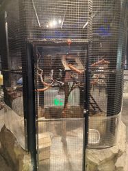 -酷嗒动物文化乐园(cutezoo西溪乐天城店)