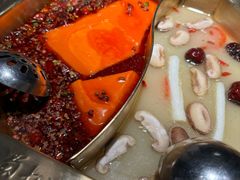 -蜀九香火锅(彩虹店)