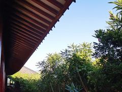 -珞珈山-售票处