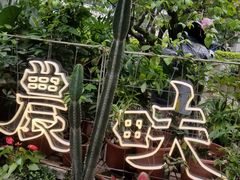 -农畉LONFOOD(福田星河COCOPark店)