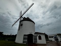 -济州森林小火车生态公园