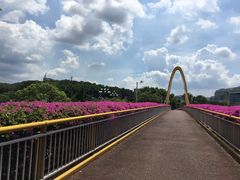 -玉树公园