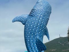 -珠海长隆海洋王国