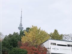 -食膳公园包子铺(烈士公园店)