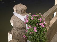 -南通濠河风景名胜区