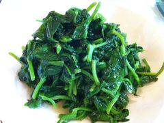 炒豆苗-福1039(愚园路店)
