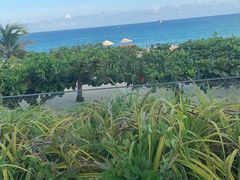 -渔家火锅·海鲜自助餐·演艺(亚龙湾天域酒店)