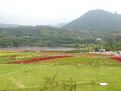 android_upload_pic-东部华侨城