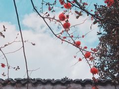 -四川大学(望江校区)